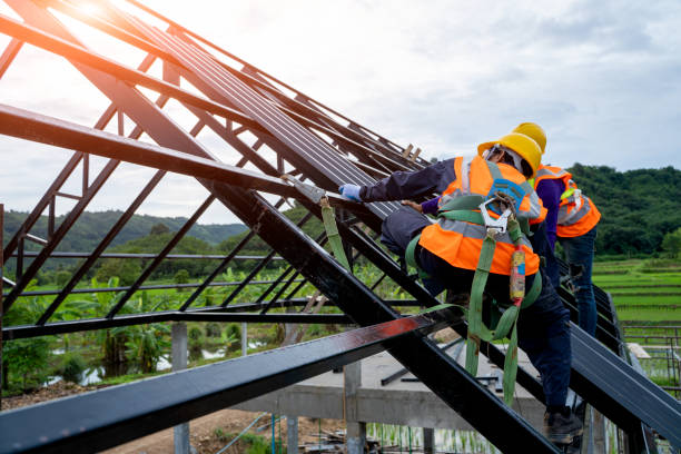 Best Shingle Roofing Installation  in Colfax, LA