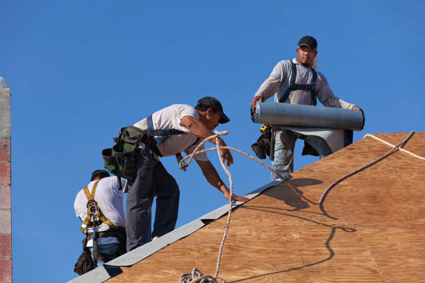 Best Roof Gutter Cleaning  in Colfax, LA